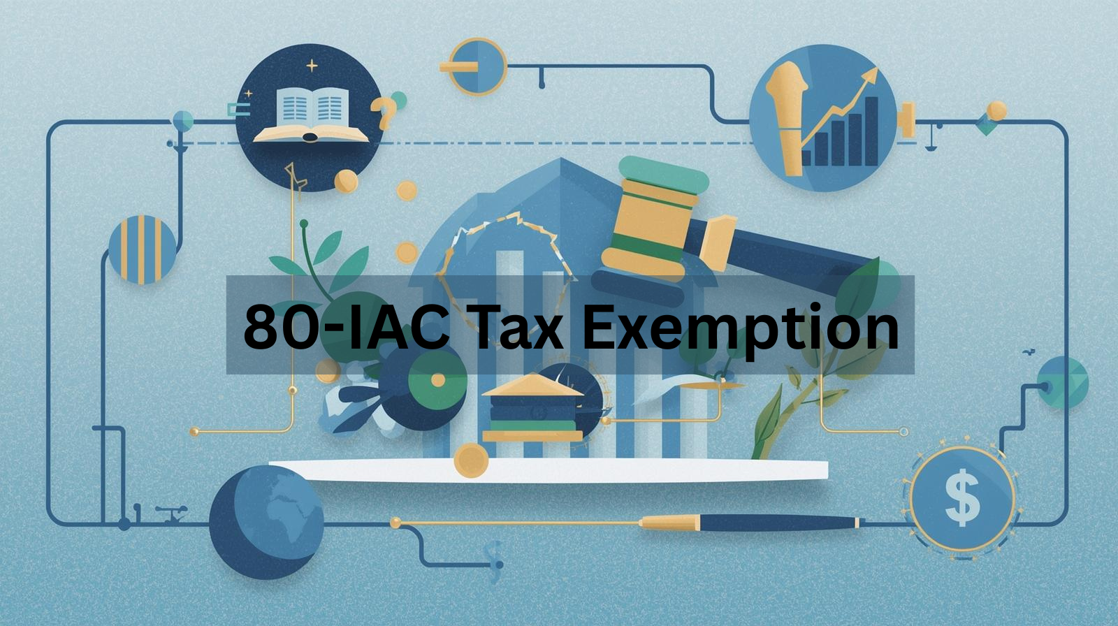 80-IAC Tax Exemption 